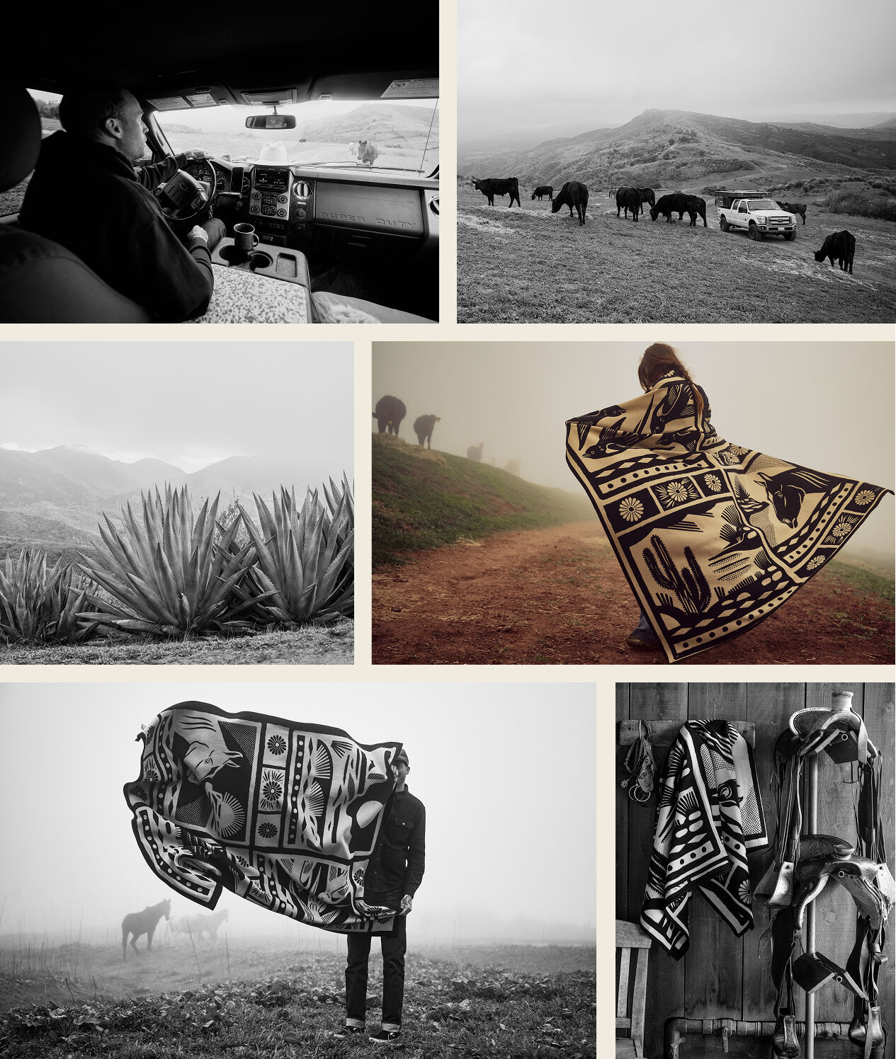Collage of Saratoga blanket images