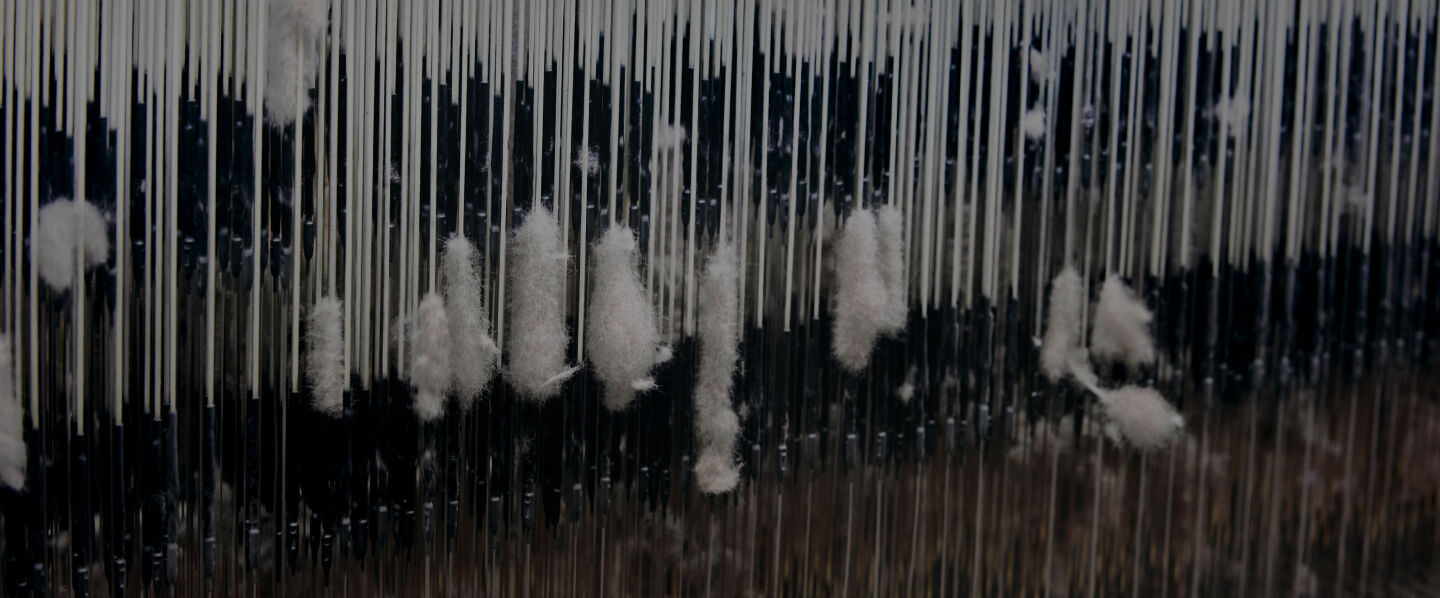 white wool
