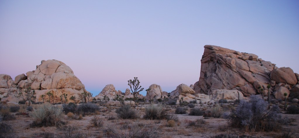 A view of rocky landscape in Joshua Tree National park