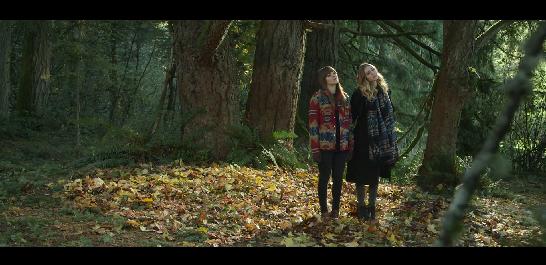 First Aid Kit screenshot of band members standing in the forest.